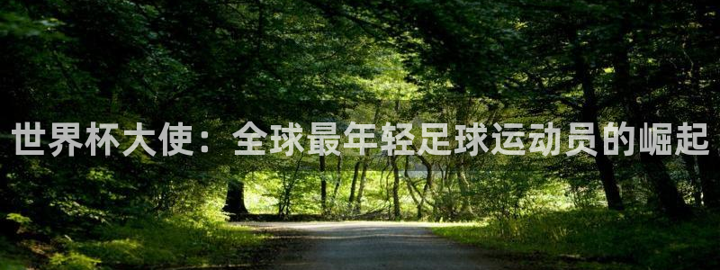 世界杯球队排名：世界杯大使：全球最年轻足球运动员的崛起