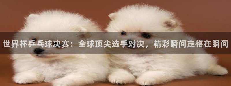 世界杯直播时间：世界杯乒乓球决赛：全球顶尖选手对决，精彩瞬间定格在瞬间