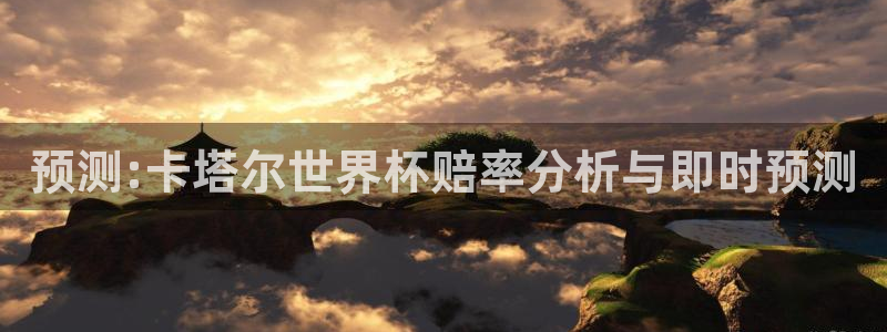 英格兰联赛杯直播：预测:卡塔尔世界杯赔率分析与即时预测