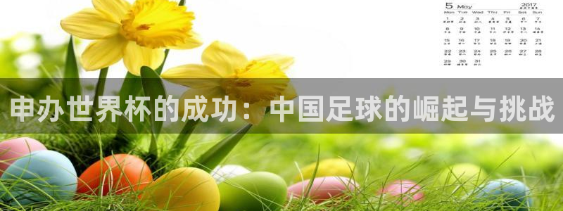 2026足球世界杯赛程：申办世界杯的成功：中国足球的崛起与挑战