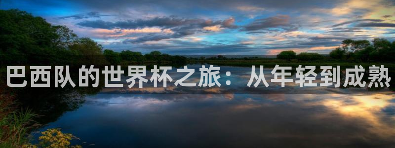 世界杯足球赛：巴西队的世界杯之旅：从年轻到成熟