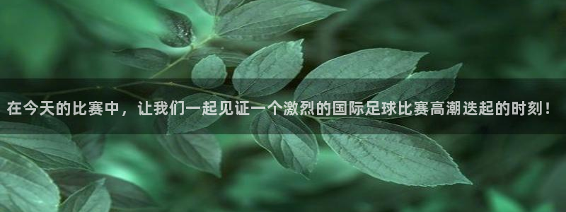 世界杯时间：在今天的比赛中，让我们一起见证一个激烈的国际足球比赛高潮迭起的时刻！