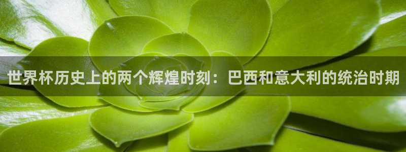 2026年世界杯直播平台：世界杯历史上的两个辉煌时刻：巴西和意大利的统治时期