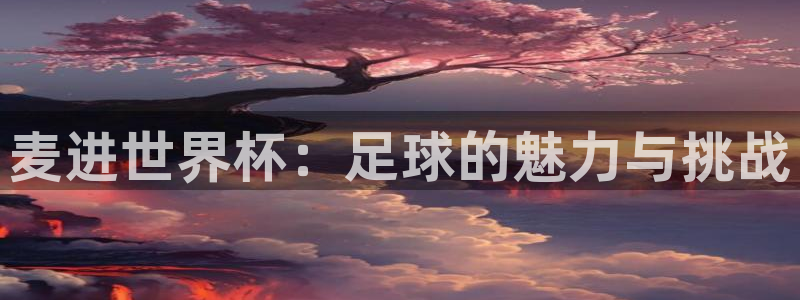 2026世界杯倒计时：麦进世界杯：足球的魅力与挑战