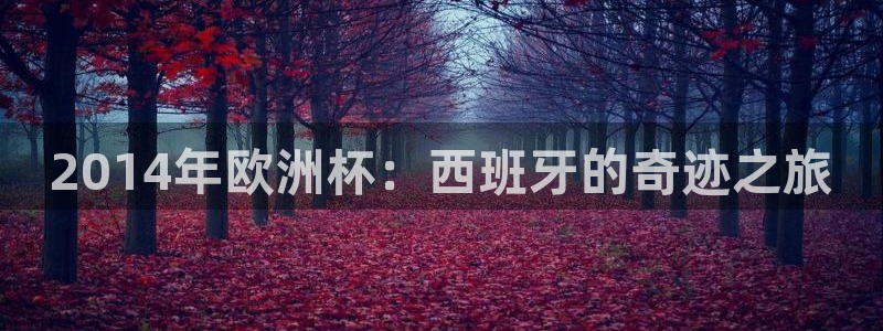 男足世界杯预选赛赛程：2014年欧洲杯：西班牙的奇迹之旅