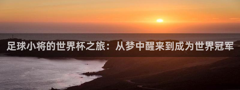 世界杯足球：足球小将的世界杯之旅：从梦中醒来到成为世界冠军