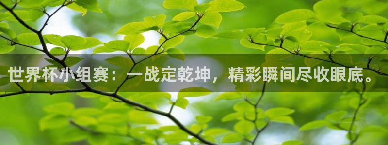 世界杯赛程时间表：世界杯小组赛：一战定乾坤，精彩瞬间尽收眼底。