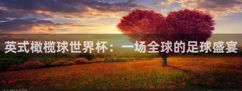 2026男足世界杯：英式橄榄球世界杯：一场全球的足球盛宴