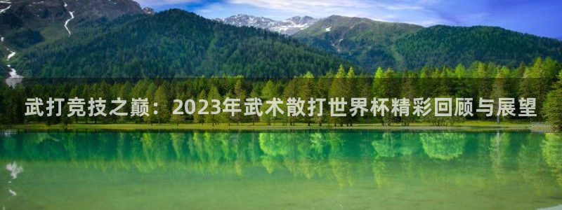 世界杯球赛：武打竞技之巅：2023年武术散打世界杯精彩回顾与展望